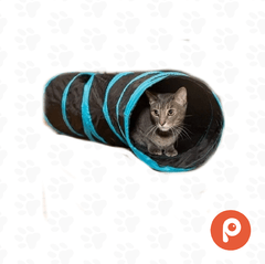 Tunel para Gato 2 Salidas (Nunbell) - comprar online