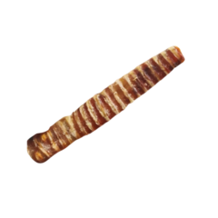 Tubo Traquea XL (Growis) - comprar online