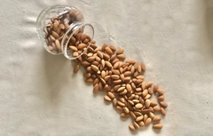 Almendras peladas Guara T1 250gr