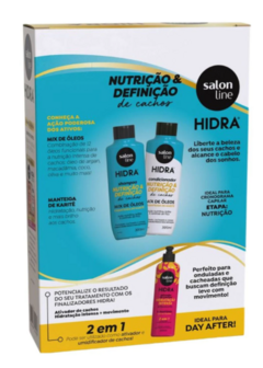 KIT SHAMPOO E CONDICIONADOR SALON LINE HIDRA NUTRICAO 300ML na internet