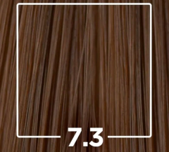 KIT COLORACAO MAXTON PRATICA 7.3 LOURO MEL - comprar online