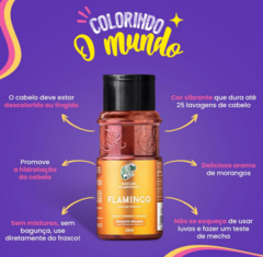 MASCARA PIGMENTANTE KAMALEAO FLAMINGO 150ML - Bazar do Cabeleireiro | Produtos de Perfumaria para uso profissional e domestico. Melhor loja de perfumaria de Recife e Regiao metropolitana
