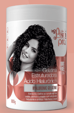 GELATINA SOUL POWER ACIDO HIALURONICO 800G 