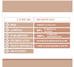 Imagem do COLORACAO ALTA MODA SEM AMONIA 6.7 CHOCOLATE