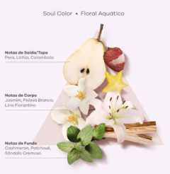 BRAE SOUL COLOR BB SPRAY CONDICIONANTE 200ML - Bazar do Cabeleireiro | Produtos de Perfumaria para uso profissional e domestico. Melhor loja de perfumaria de Recife e Regiao metropolitana