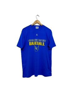 Remera MICHIGAN BASEBALL #4279