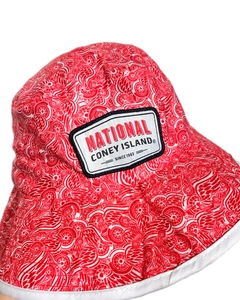 Piluso NHL DETROIT RED WINGS #4044 en internet