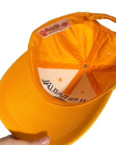 Gorra IOWA HAWKEYES BAKETBALL #4047 - ESTILOS UNIDOS