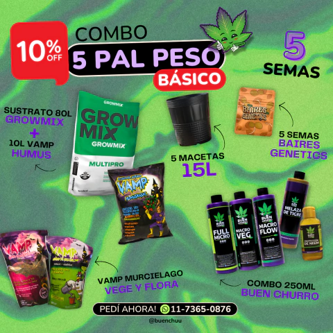Kit 5 pal peso