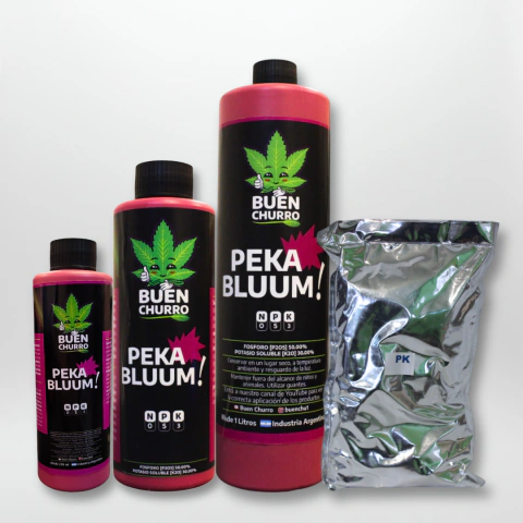 PK BLUUUM - Sales Buenchurro