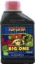Big One, Top Crop - BuenChurro