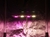 Imagen de Led COB BC - Full Spectrum/ Mixto -