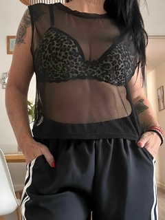 Musculosa Tuli