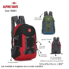Mochila ALPINE SKATE COD.16801