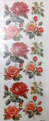 Lámina Mix Transfer 10x30 T13