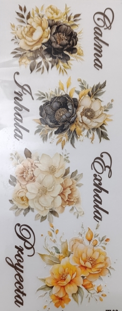 Lámina Mix Transfer 10x30 T08