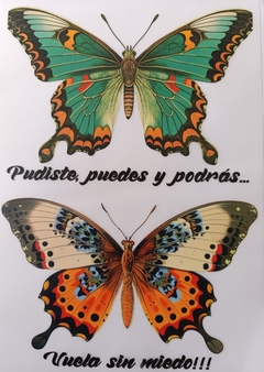 Lámina Mix Transfer 20x30 Cod FT76