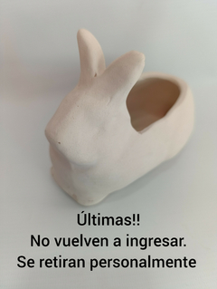 Conejo yeso