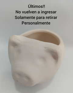 Maceta yeso chanchito