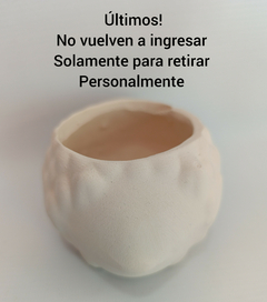 Maceta erizo grande