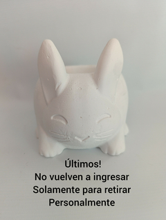 Maceta conejo yeso