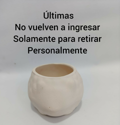 Maceta erizo pequeña