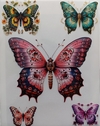 Lámina Mix Transfer 20x25 Cod022