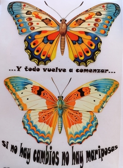 Lámina mix Transfer 20x30 Cod FT75