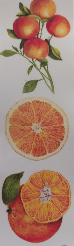 Lámina Transfer Color UV Cod 021