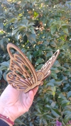 Mariposa 3D