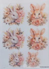 Mix Transfer 15x20 Cod 027