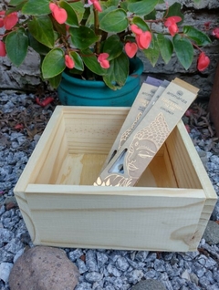 Cajon 20x20