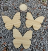 Mariposa de pino