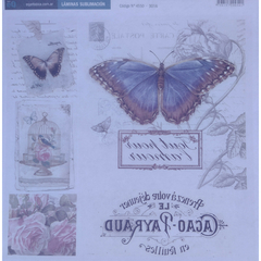 Lamina Sublimación 45503016