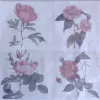 Lamina Sublimacion 45503024