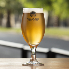 LAJONY - Honey ALE - comprar online