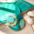 Dafne 250 Set - buy online