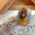Lycra Ring Camel Gris 181 on internet