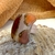 Anillo de Lycra Choco Naranja 170 - comprar online