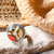 Anillo Pop 124