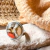 Anillo Pop Coral Natural 124