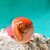 Anillo de Lycra Redondo Naranja Coral 162