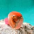 Anillo de Lycra Redondo Naranja Coral 162