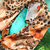 Pañuelo Animal Print Mediano (70 x 70 ) - comprar online