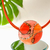 Collar Dafne Naranja Coral 162 en internet