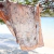 Pañuelo Natural 190 Mediano (70 x 70 ) - comprar online