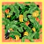 Small scarf Tucan - buy online