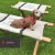 Banner de WISHBONE