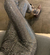 Carrusel MYLEGS