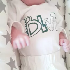body DINO - tienda online